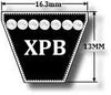XPB Section V Belts